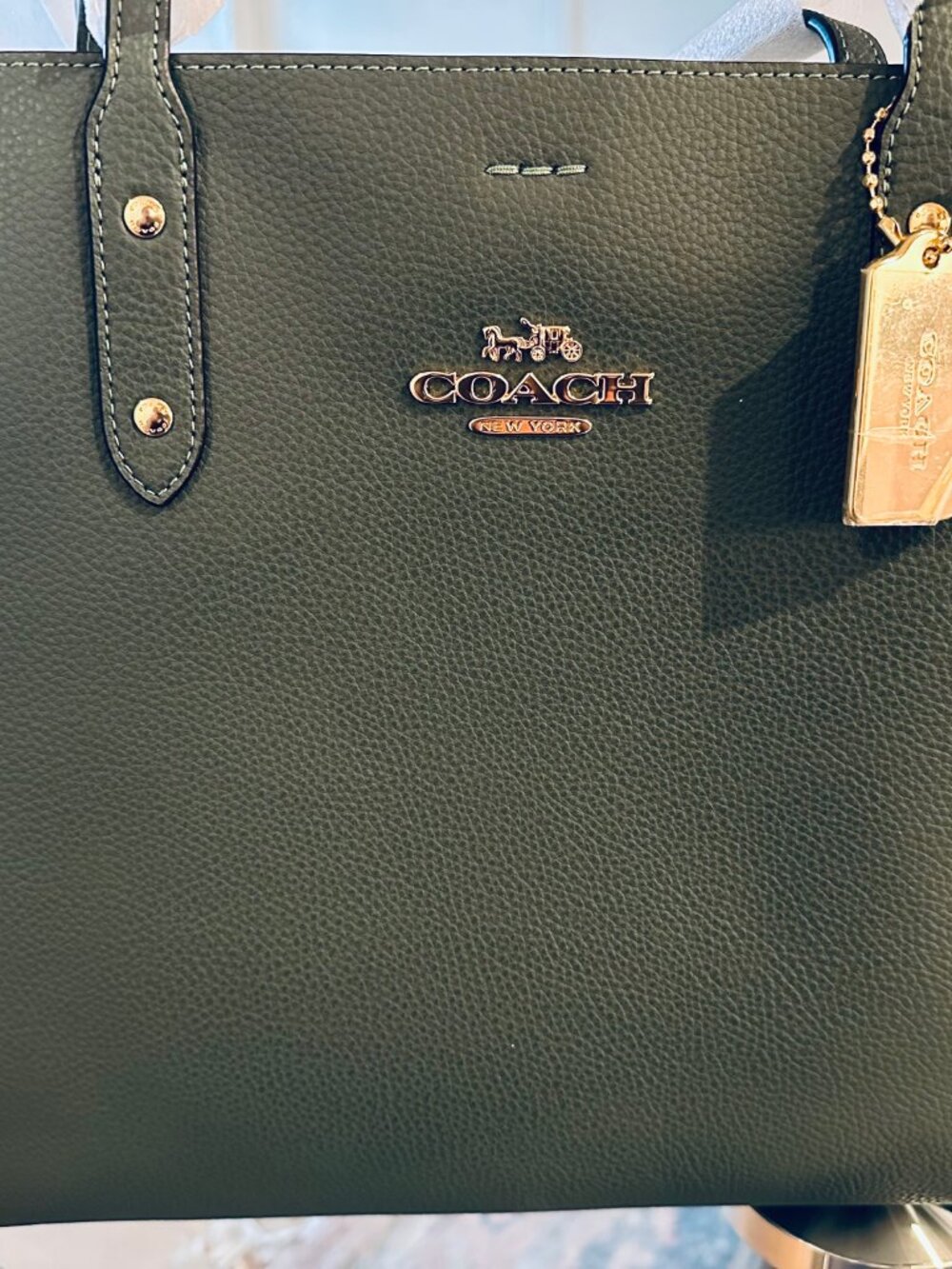 NWT - COACH TOWN TOTE - EVERGREEN - Picture 8 of 9